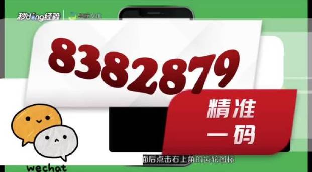 新澳门精准资料大全料,最佳精选数据资料_手机版24.02.60