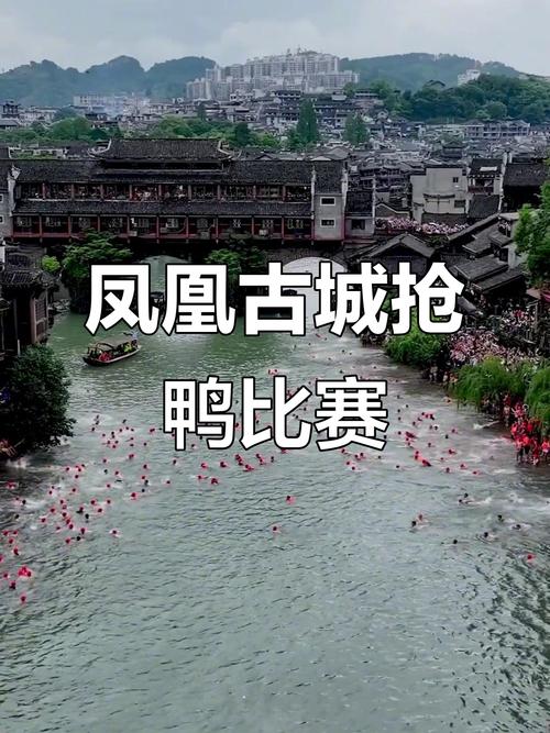 2025年天天彩资料大全和凤凰古城百人抢鸭子与凤凰古城百人抢鸭子是真的吗