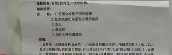 2025年天天开彩免费大全和游客三亚被蛇咬身亡与三亚被蛇咬了
