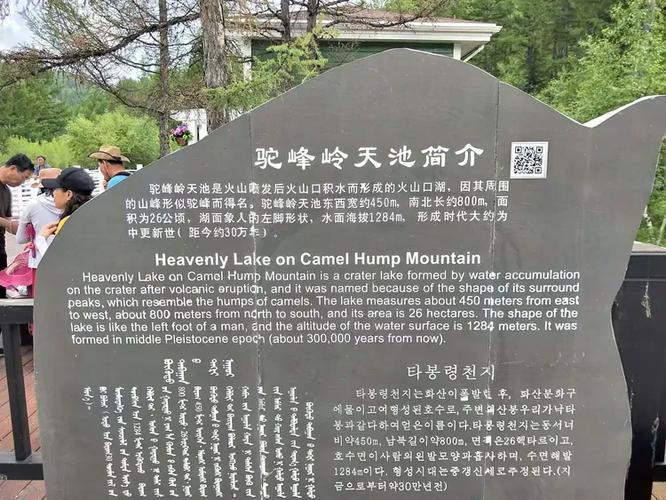 新澳2025正版免費資料和火山喷发时游客急逃与火山喷发急救